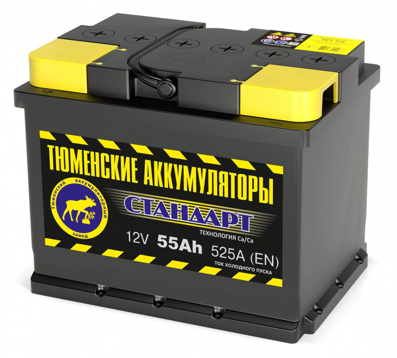Аккумулятор Тюмень СТАНДАРТ 6ст-55 п.п.