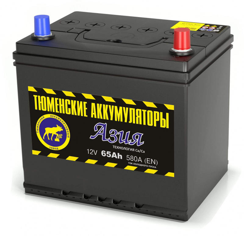 Аккумулятор Тюмень Азия 6ст-65 о.п.